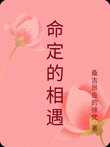 命定的相遇几人玩