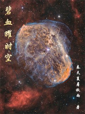 电影碧血长空