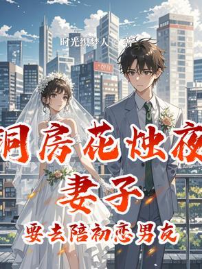 洞房花烛夜妻子要去陪初恋男友叶修
