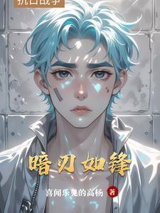 暗刃16集