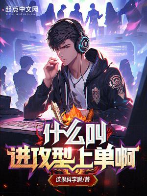 进攻是啥意思