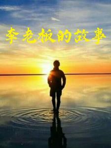 李老板的故事是什么