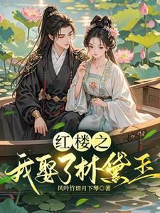 穿越红楼我是林黛玉妹妹