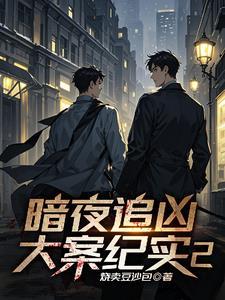 暗夜微光破解版完结