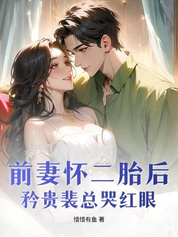 前妻再婚二嫁总裁