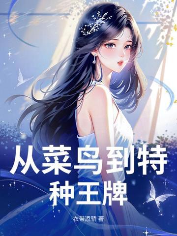 从菜鸟到大师