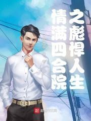 情满四合院之彪悍人生斗破网