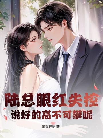 陆总什么电视剧