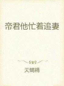 帝君追妻记