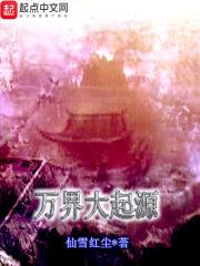 万界大引流