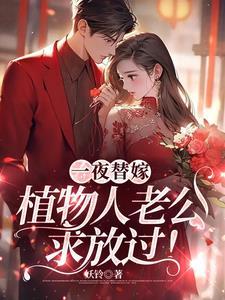 植物人老公求放过txt