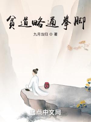贫道略通拳脚免费阅读全文