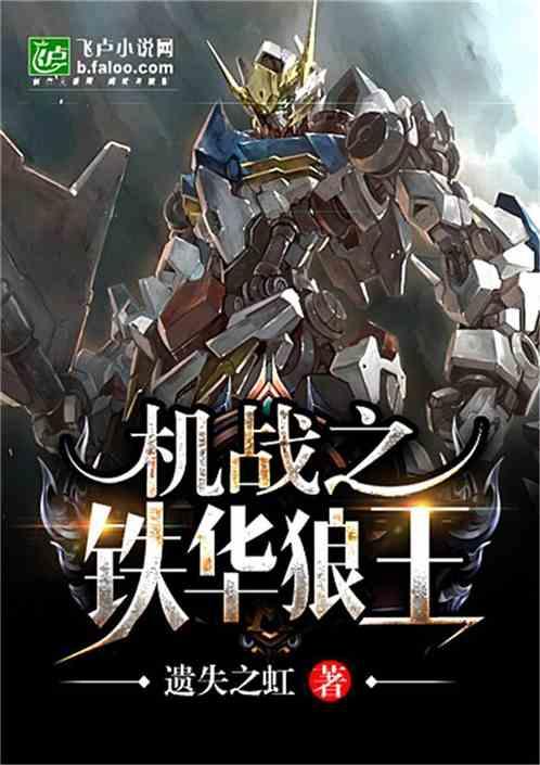 机战之铁华狼王爱书吧