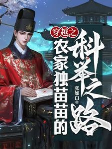 穿越之农家独苗苗的科举之路张平安