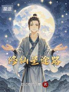 流星划过的夜晚什么歌