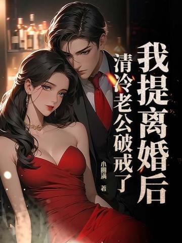我提离婚后清冷老公破戒了最新