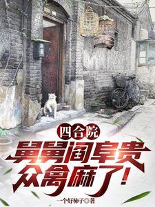 四合院我是阎老三