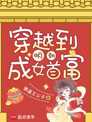 穿越明朝做女婿讲的什么