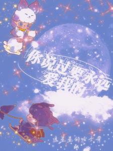 你说会永远爱我