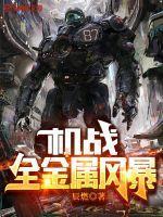 机战全金属风暴TXT百度