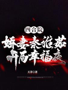 四合院开局跟秦淮茹相亲