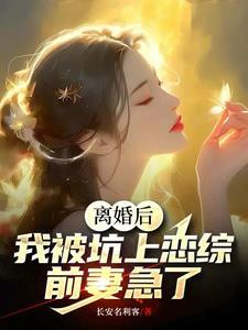 离婚后我被前夫到追