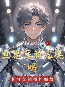 完美 世界