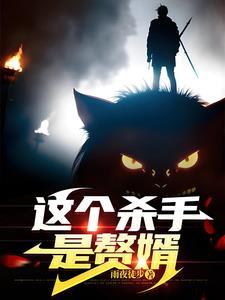 这个杀手是赘婿免费阅读全文