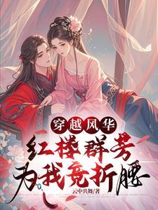 穿越红楼文