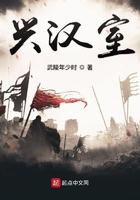 兴汉室免费阅读