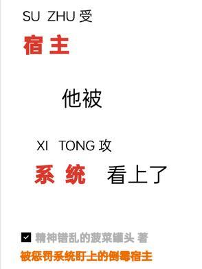 系统宿主被guan 满