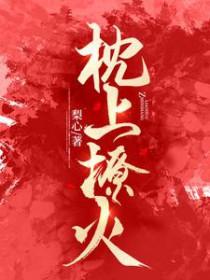 枕上撩火TXT