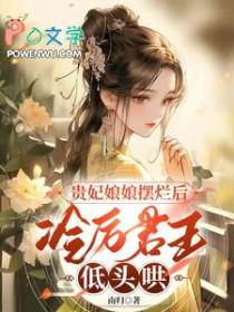 贵妃娘娘又轰动了