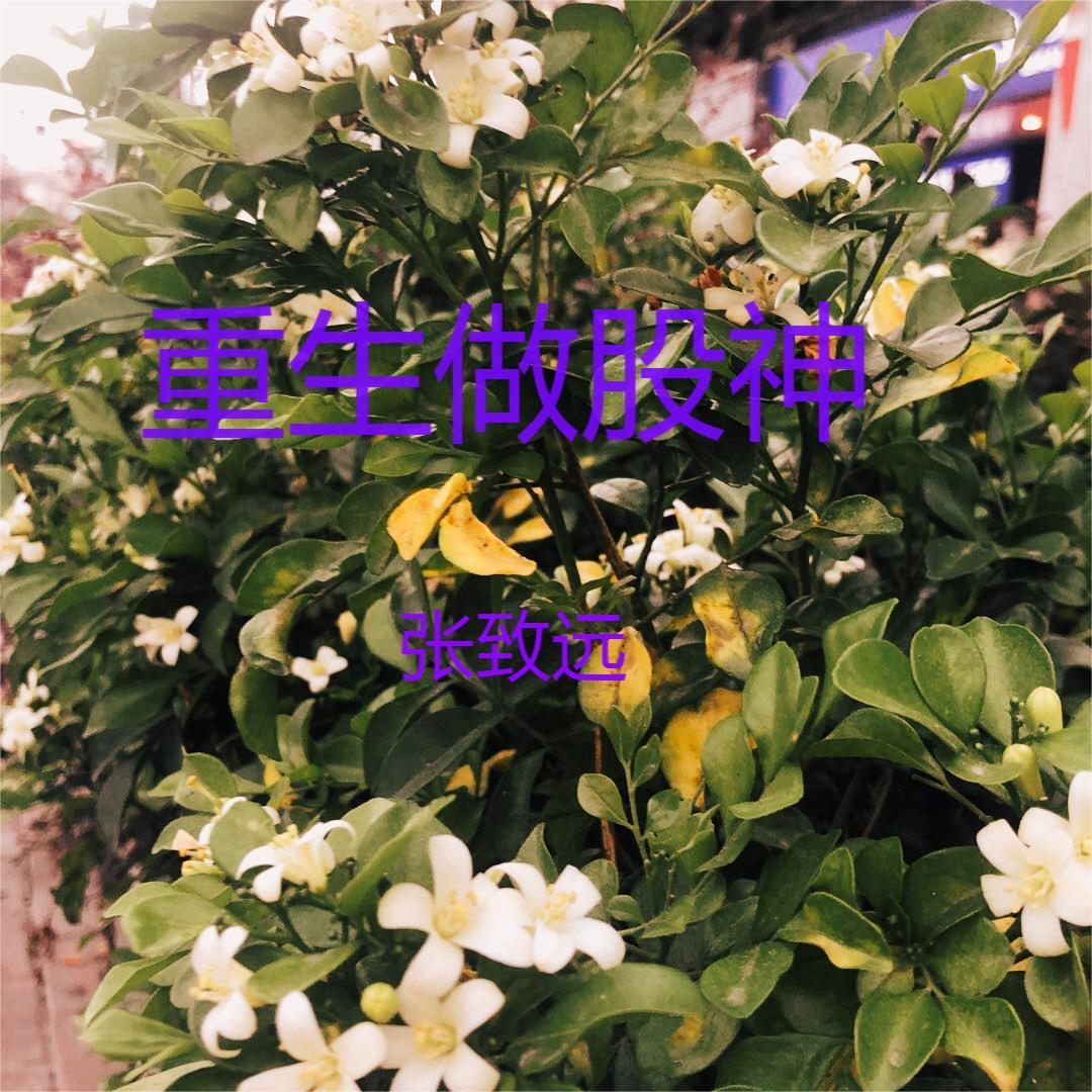重生金融巨子归来
