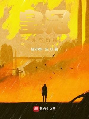 皇冠亦有所属主要讲的是什么