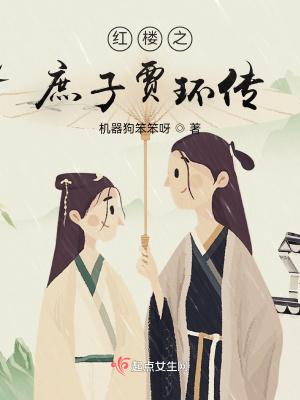 18. 穿越红楼之庶子有为 贾环