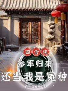 四合院傻柱爽文
