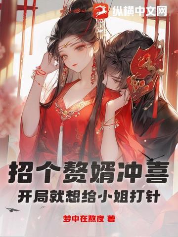招赘全文免费阅读
