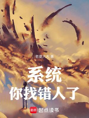 给错系统了