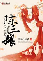 穿越大宋宠妃的