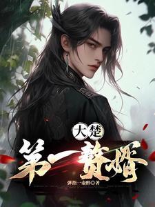 大楚第一赘婿动画第30集