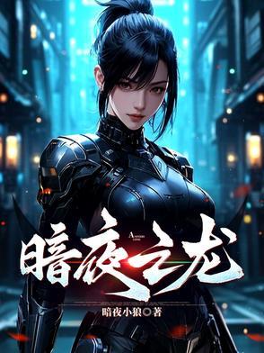 暗夜暴龙