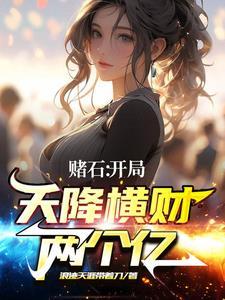 赌石高手