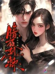 暗夜的精灵