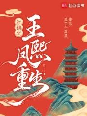 重生红楼梦王熙凤