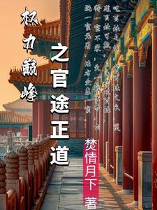 官途权力巅峰 任风萧