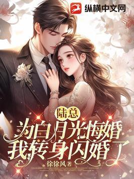陆少的白月光转正了