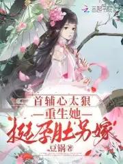 首辅 重生